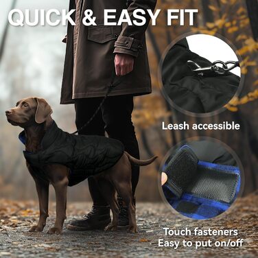 Теплий зимовий одяг для собак VIVAGLORY Softjoy: куртка з захистом живота, теплий софтшелл, розмір L, чорно-синій (1 шт.)