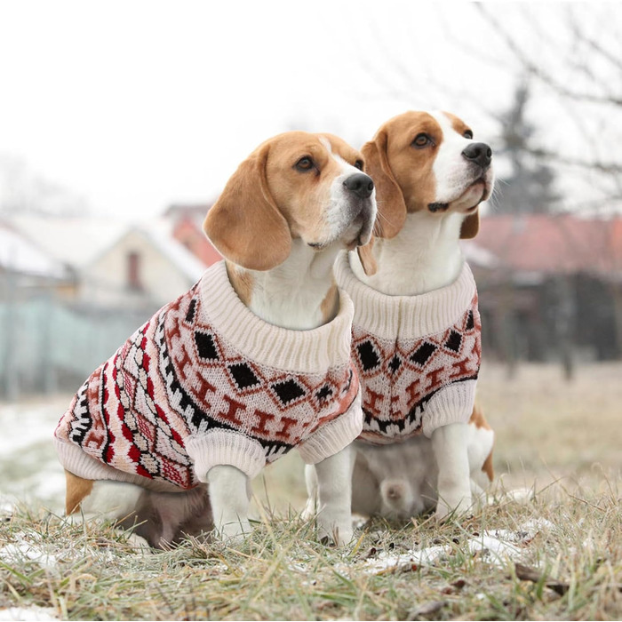 Теплий пуловер для собак - Boho пуловер для маленьких собак, святковий пуловер, отвір для повідка, теплий пуловер для чихуахуа, йоркширського тер'єра, джек-рассела (Червоний M)