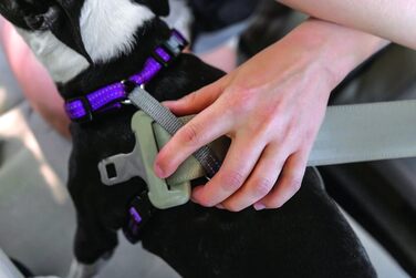 Шлейка для собак PetSafe 3-в-1, анти-затяг, для авто, з ручкою, світловідбивачами, розмір L, чорна, синя, фіолетова
