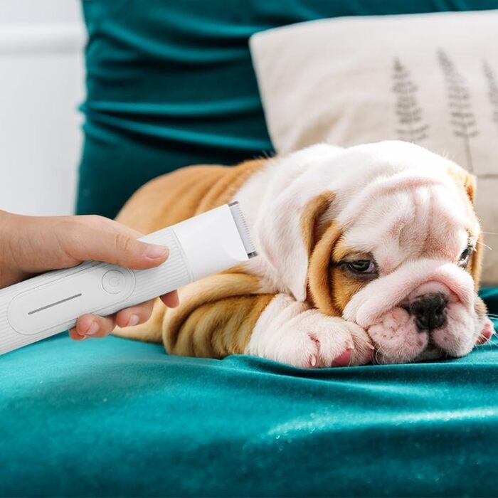 Машинка для стрижки собак та котів 4-в-1, безшумна, водонепроникна, акумуляторна