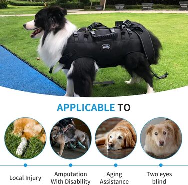 Сумка-переноска та повідок для собак, Wakytu, для маленьких собак (4-8 кг), чорний, регульовані ремені