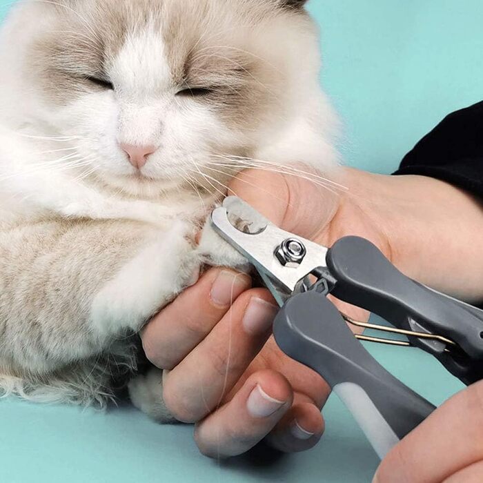 Професійна ножиця для грумінгу собак та котів: безпечна та зручна для маленьких порід, цуценят та кроликів (сірий)