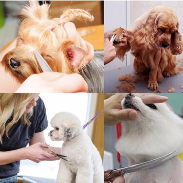 Набір ножиць для грумінгу собак iSeaFly 5 в 1: нержавіюча сталь, для тіла, обличчя, вух та носа