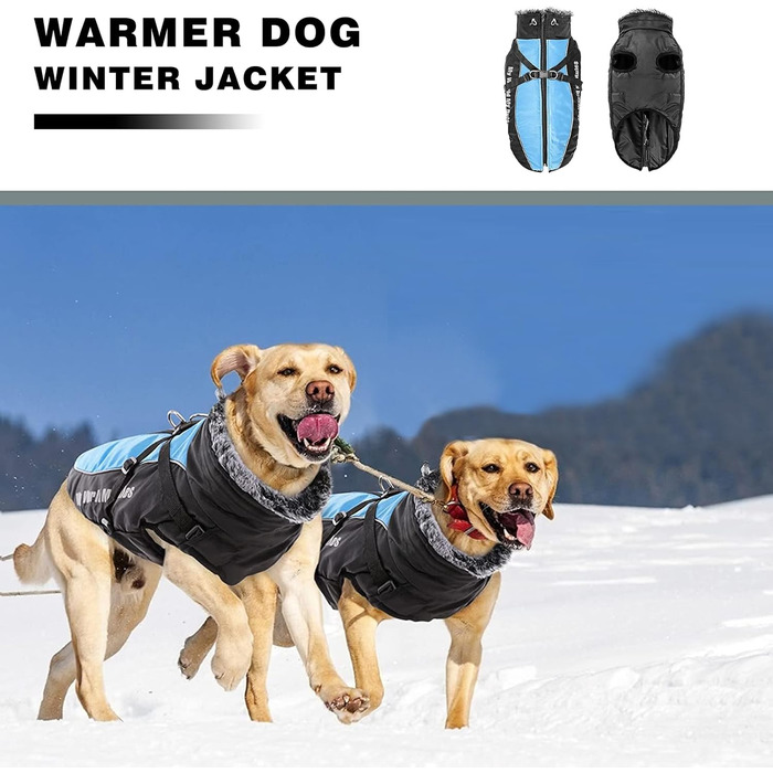 Водонепроникний зимовий одяг для собак PETCUTE, тепла куртка для маленьких та середніх собак, з регулюванням, світловідбиваюча, блакитна (2XL)