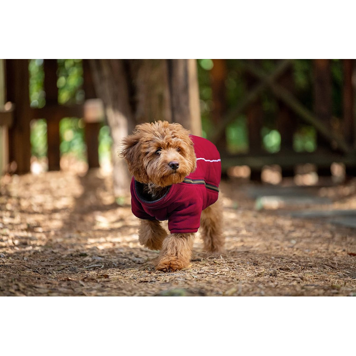 Теплий собачий костюм BoxDog: куртка для собак з поларфлісу, для холодної погоди, маленькі та середні породи, червоний колір, модель Getaway Solids
