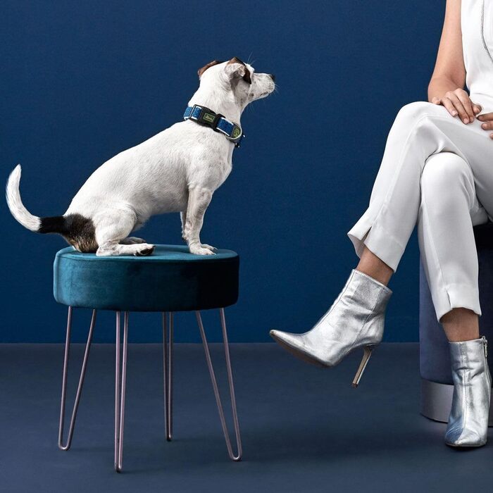 Нашийник для собак HUNTER HILO VARIO BASIC, блакитний, розмір S-M: дихаючий, з 3D-сіткою, відбиваючий, регульований