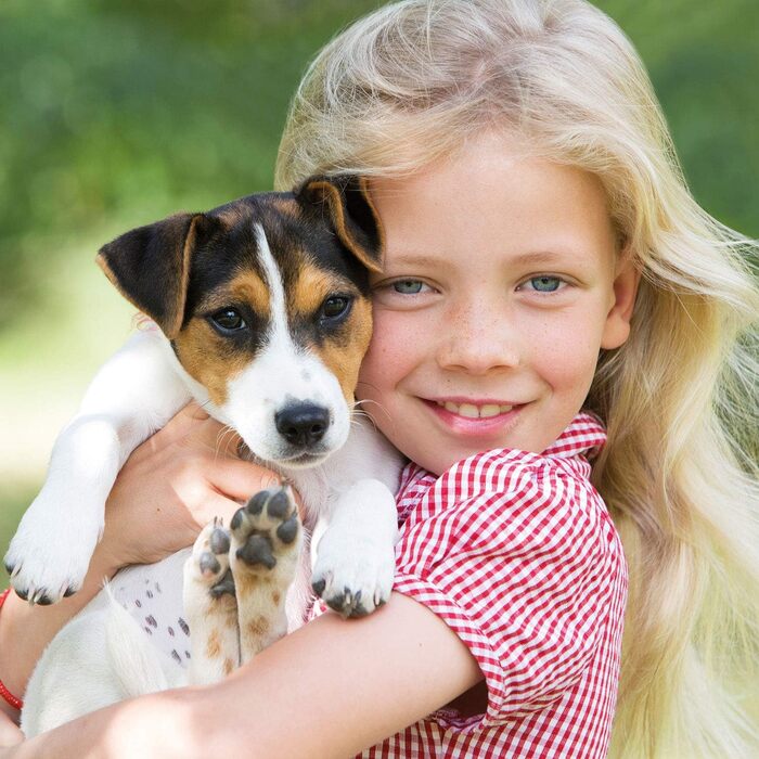 Будинок для собак Zooprinz Bella - вологостійкий, з масивного дерева, для вулиці, екологічна фарба, 3 розміри (XL, M)