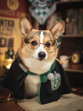 Костюм для собак та котів з окулярами та краваткою, косплей, Slytherin, розмір M