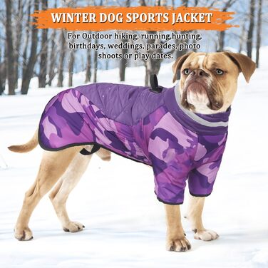 Відбиваюча куртка для собак великих порід, зимова водонепроникна тепла куртка-манта для собак, жилет для собак з D-початком для активного відпочинку, спорту та полювання (4XL, фіолетовий)