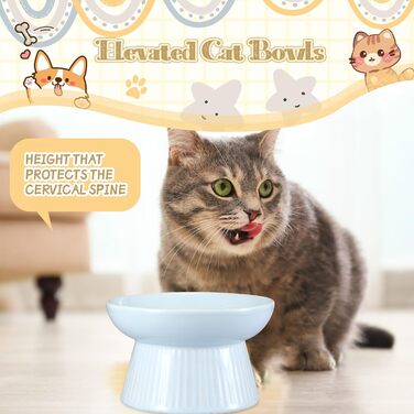 Підвищені миски для котів Layhit з кераміки, проти блювоти, для сухого та вологого корму, для кошенят, блакитні та рожеві, 2 шт.