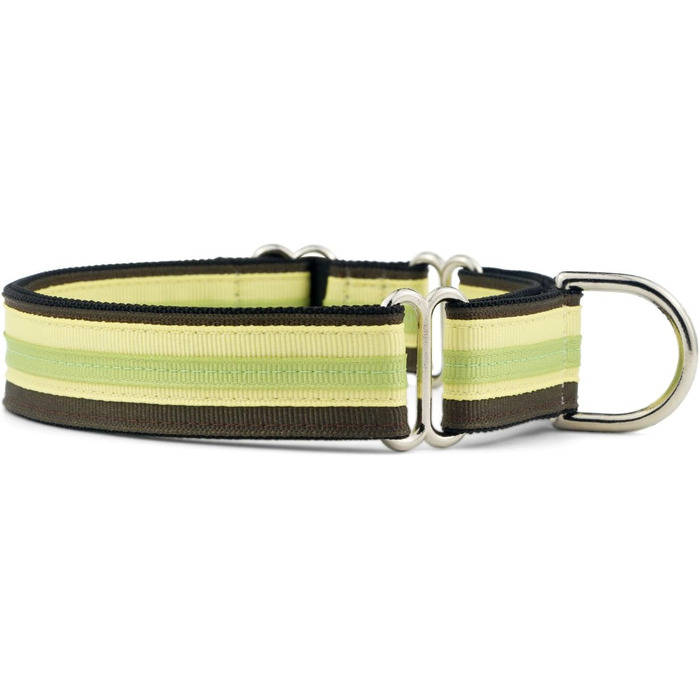 Якщо гавкає Martingale нашийник для собак, нейлоновий, регульований, 2,5 см, середній (38-56 см), Key Lime Pie, вироблено в США