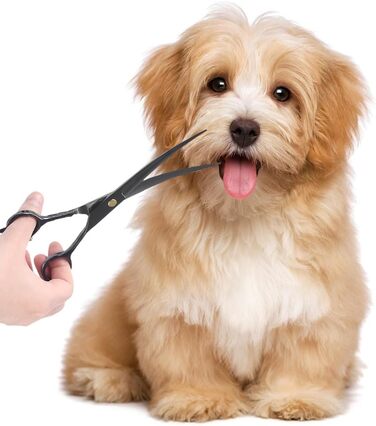 Набір ножиць для собак 7 дюймів, професійний 5-в-1 з нержавіючої сталі, включаючи ножиці для фінальної обробки, вигнуті та прямі ножиці, гребінець для грумінгу, серветка для чищення, кейс для зберігання, регулювальний гвинт, для собак та котів, чорний