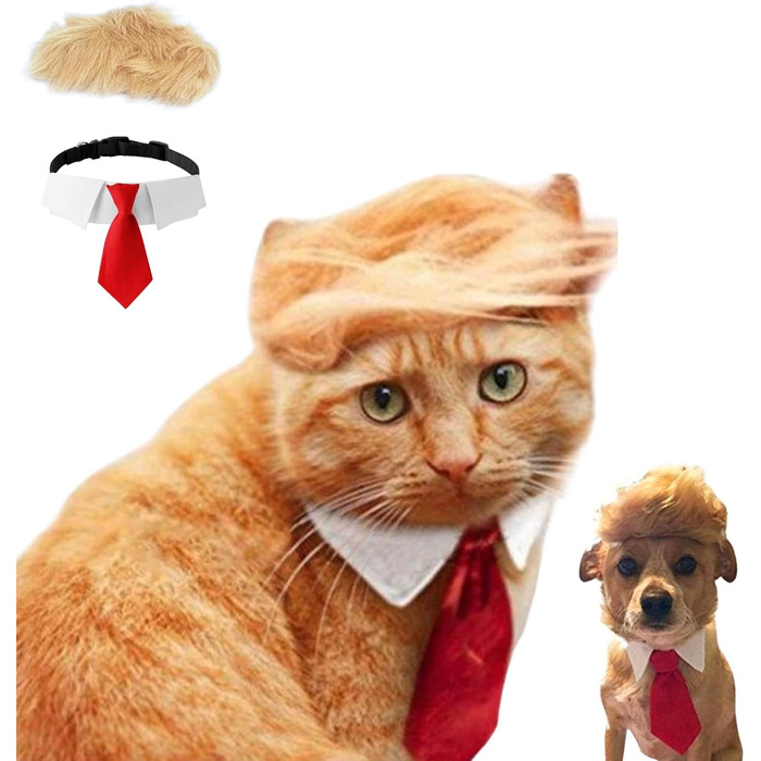 Блондин для домашніх тварин з бантиком: Іконічна та кумедна шапочка Tupemütze, косплей-одяг, костюм, аксесуари на Хелловін (червона краватка, L)