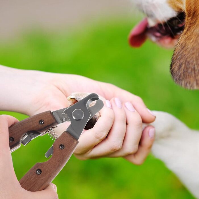 Ножиці для догляду за тваринами Happyyami: безпечні ножиці для котів та собак, ергономічний дизайн