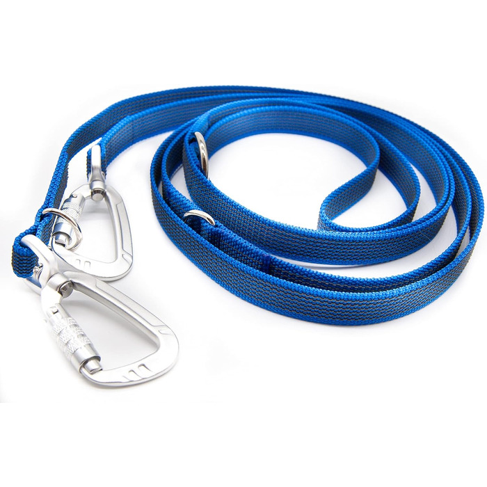 Повідок для собак Twinkys Dog Style, трирівнево регульований, прогумований, 20 мм, 3 м, з карабіном безпеки, синій