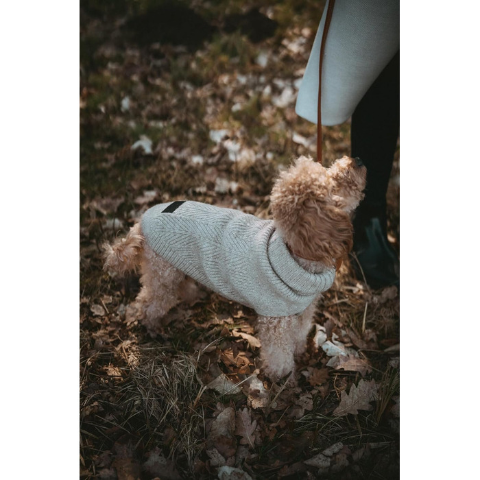 Пуловер для собак Hunter GENF, бежевий, з перекидним коміром, з еластичного переробленого поліестеру