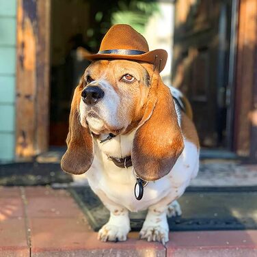 Костюм ковбоя для котів та собак (2 шт.) з капелюхом та банданою, для вечірок, косплею та щоденного використання