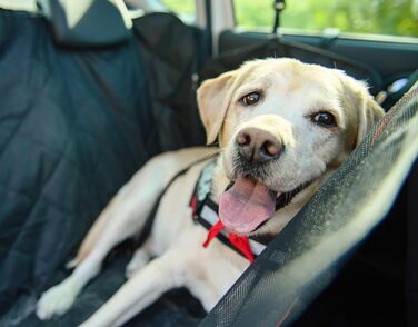 Чохол на автокрісло для собак PARENCE. - захисна килимок для тварин, водовідштовхувальний, захищає від бруду, шерсті та іншого сміття