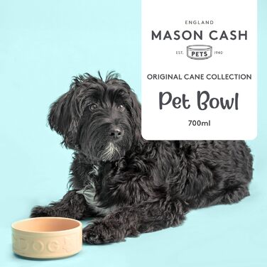 Миска для собак Mason Cash з порцеляни, з ручкою та синім написом, 15 см