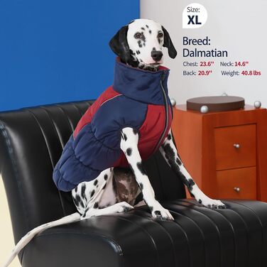 Зимові куртки та манто для собак IECOii: тепла, вітро- та водонепроникна модель, зелений, M (військово-зелений), блакитний