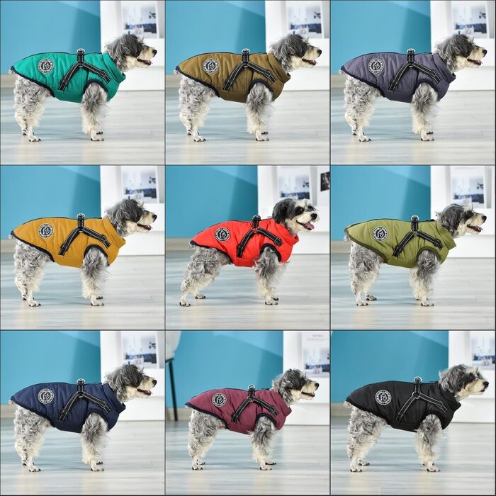 Зимова куртка для собак з наповнювачем та поясом - (XS, Кораловий)