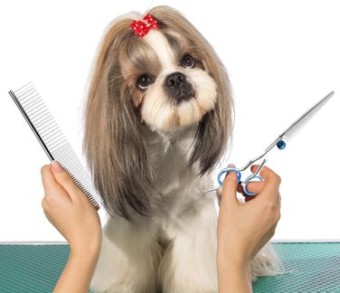 Набір професійних ножиць для собак 5 в 1, ножиці для грумінгу, з металевим гребінцем та шкіряним чохлом