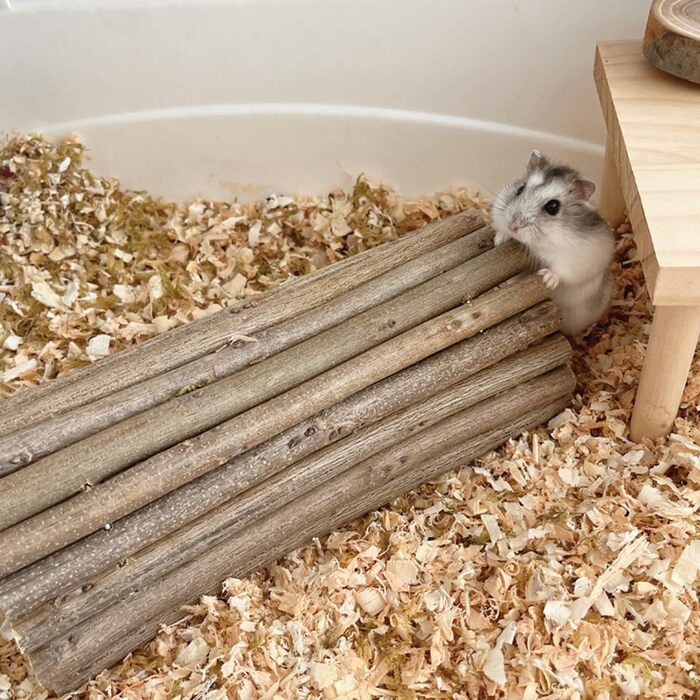 Туннель-іграшка для хом'яків та гризунів DEMONTALK з натурального дерева, тунель-труба для хом'яків, щурів, мишей