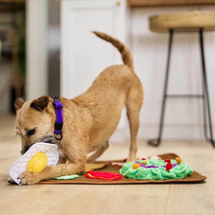 Інтерактивна килимок-нюхалка для собак P.L.A.Y. - іграшка-головоломка для собак всіх розмірів, для повільного годування та розвитку нюхових навичок, машинне прання