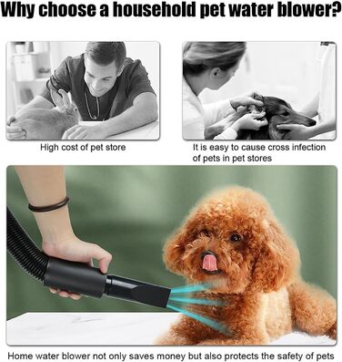 Професійний фен для собак 2800W, тихий, з 4 насадками та шлангом, для грумінгу