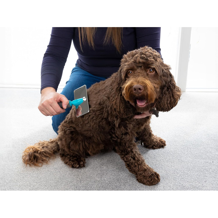 Щітка для собак Mastercip, велика порода, розмір Medium