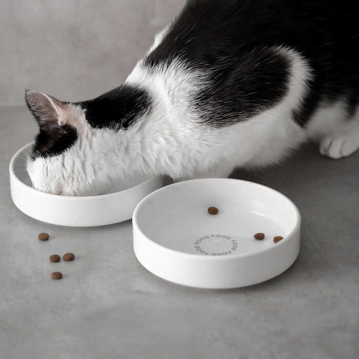 Керамічна годівниця для котів Minty&Marla® Food | Біла, преміум-якість