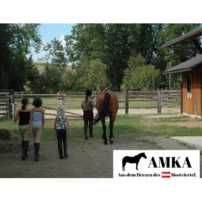 Ножиці для вирівнювання шерсті тварин AMKA з нержавіючої сталі, двосторонні
