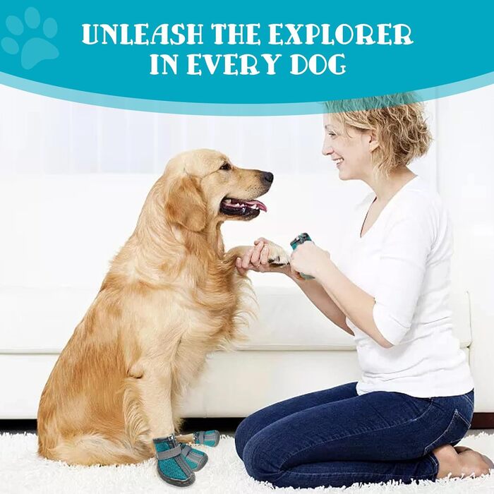 Взуття для собак, захист подушечок лап, Outdoor, 4 шт., з світловідбиваючим кріпленням, дихаючі собачі чоботи, регульований захист лап для маленьких та середніх собак (1, блакитний)