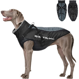 Зимовий теплий куртка для собак, водонепроникний, з кріпленням для повідка, для середніх собак (2XL)