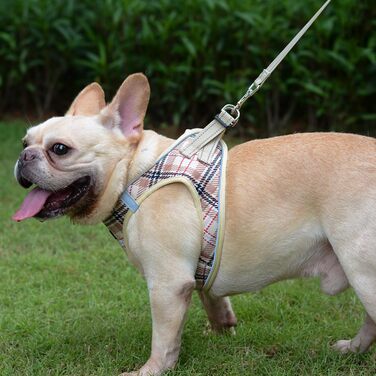 Нашийник для собак маленьких порід з повідком, анти-тягнучий, світловідбиваючий, дихаючий, нагрудник для цуценят (Бежевий, S, Обхват грудей: 29-33 см)