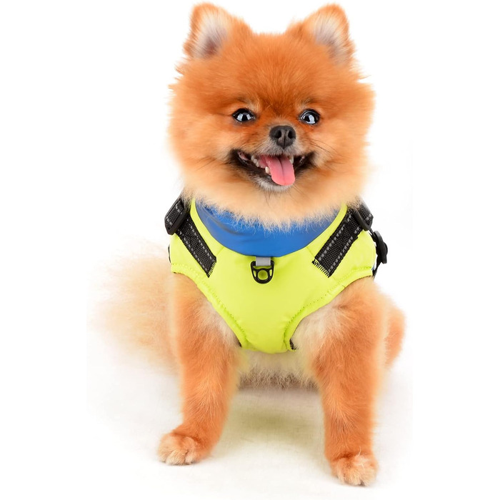 Водонепроникна зимова куртка для собак та котів SALLLEE LUCKY STORE з кільцем D, блакитна (XL)