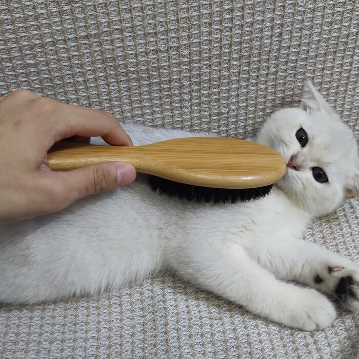 Щітка для котів з щетиною дикого кабана, професійний догляд за шерстю, зменшує випадіння, робить волосся м'яким та блискучим. Також підходить для собак з короткою шерстю