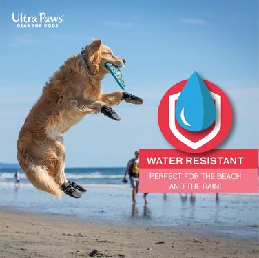 Чоботи для собак, захист лап, чорний колір, розмір 6 (M), водонепроникні, для великих собак