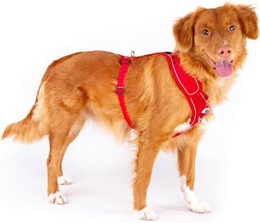 Шлейка для собак Belka, регульована, чорна, XL