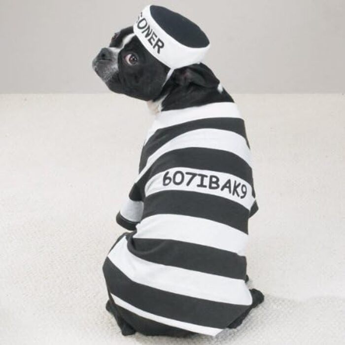 Костюм для собаки 'Prison Pooch', розмір S (Окружність шиї: 10 дюймів, Окружність грудей: 16 дюймів, Довжина спини: 12 дюймів)