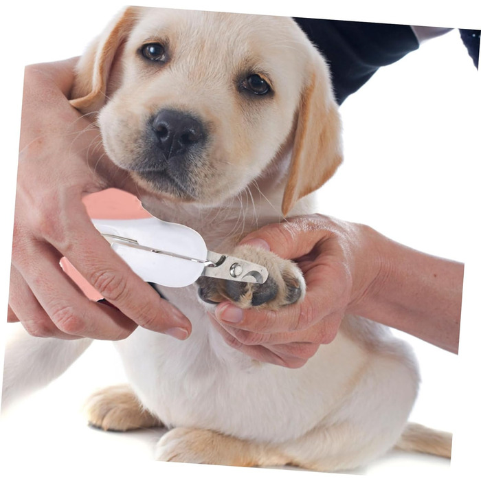 Набір з 3 шт. ножиків для обрізання кігтів собак Besportble з нержавіючої сталі, ергономічні, для собак маленьких, середніх та великих порід. Практичне аксесуар для догляду за домашніми тваринами.