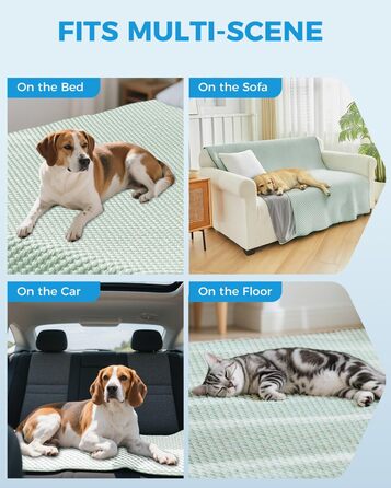 Килимок охолоджуючий для собак Lekereise, 157x206 см, зелений (миючий)