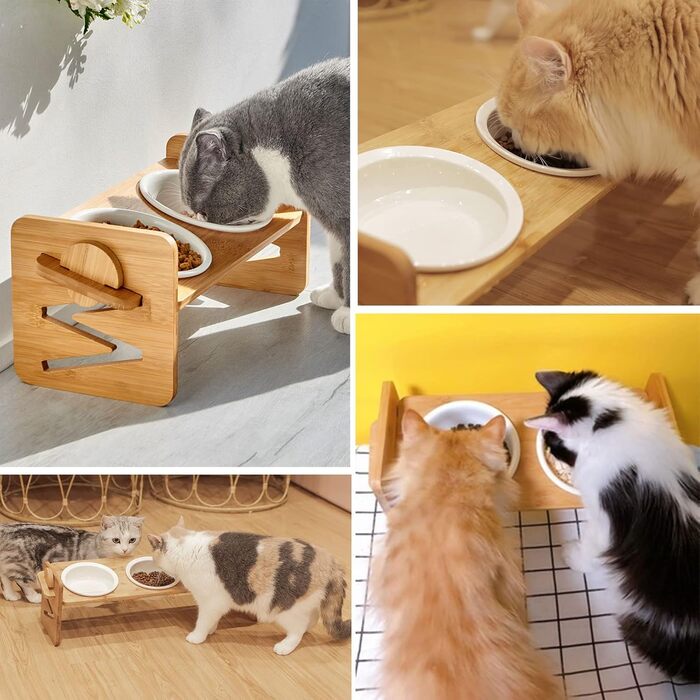Миска для котів, піднята керамічна миска для котів та маленьких собак, набір мисок для котів та собак, миски для котів (включно зі стійкою)