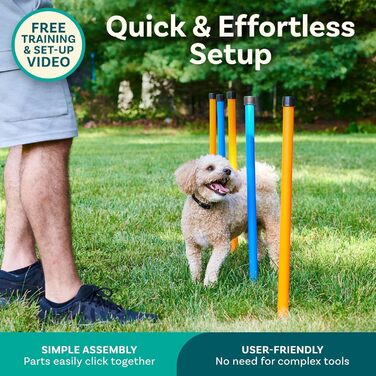 Набір для аджиліті для собак PetCove: тунель, перешкода, кільце, стійки, драбина, бокс для відпочинку. Портативний тренувальний комплект для собак