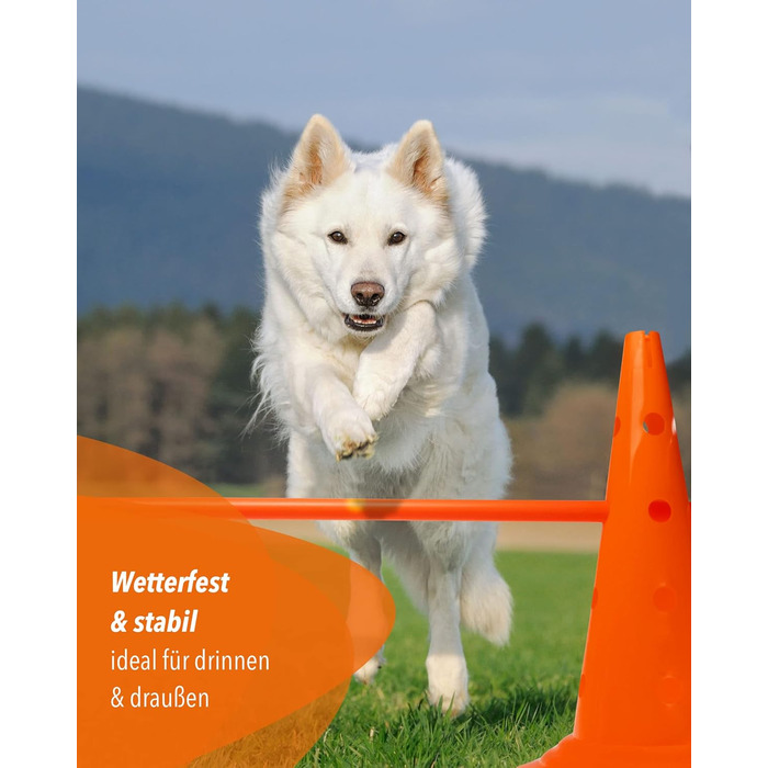 Кегель-бар'єри Sportikel24 для аджиліті – набір бар'єрів для собак, коней та дітей – 50 см