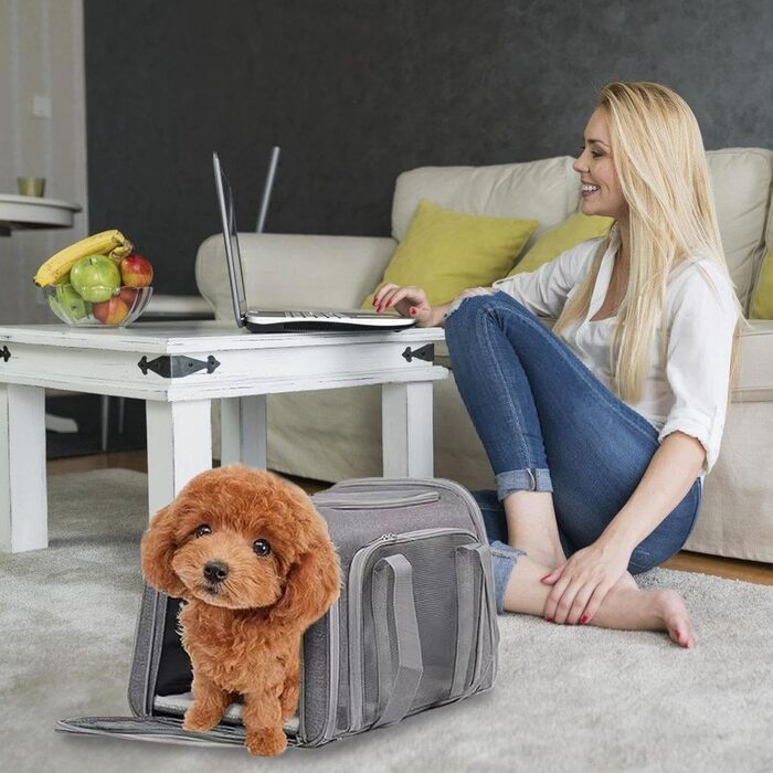 Складана переноска для собак Klein з м'якими боковинами для подорожей | Захисна переноска для собак, переноска для домашніх тварин з багатофункціональним ліжком, багаж (сіра)