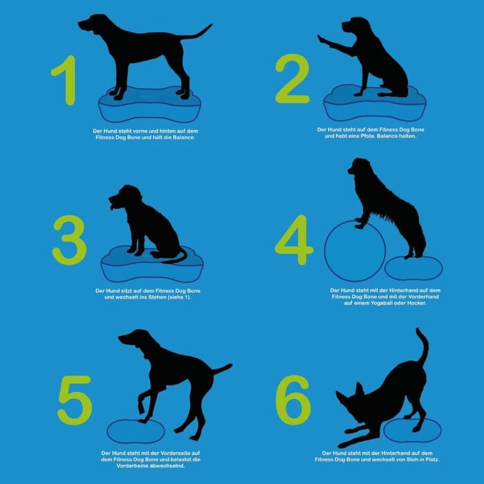 Навчальний килимок для собак - баланс борд, подушка - ортопедичний тренінг та ігри - для малих та великих собак, з насосом