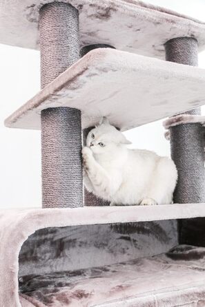 Когтеточка для великих котів Petrebels Maine Coon XXL Route 180 см, натуральний сизаль, стовпи 12/15 см, капучино