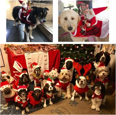 Костюм Святого Миколая для собак, теплий зимовий халат, костюми для собак, тепла куртка, костюми для тварин, регульований костюм Святого Миколая для домашніх тварин (XXL)