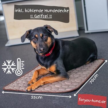 Захист для багажника з захистом краю вантажного отвору foryou® + килимок для собак - універсальний захист багажника для собак, водовідштовхувальний, стійкий до подряпин, преміум якість, Made in Germany